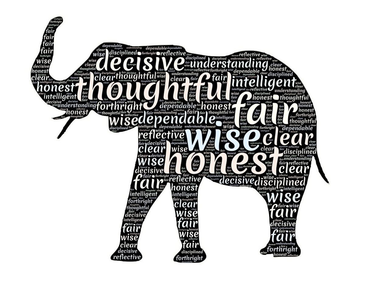 Empowering Teams and Leaders Through Transparent Leadership